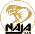 Icone site web Najateam Logo et Icone NajaTeam - Noir