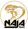 Logo et Icone NajaTeam - Noir